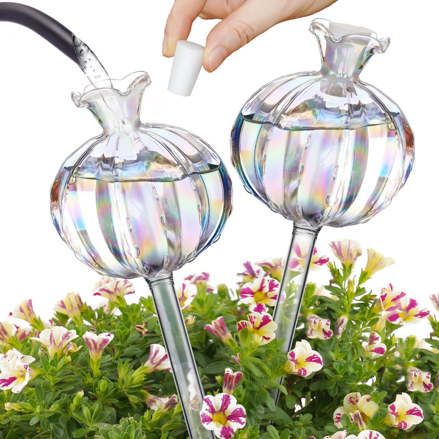 Dispositif d'arrosage pour plantes: en verre, lot de 2, 140 ML