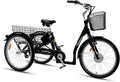 Vélo Cargo Électrique T3A Trio avec Alarme, 250W, Écran LCD, Éclairage LED StVZO, Transport d'Enfants, Batterie LG, Noir